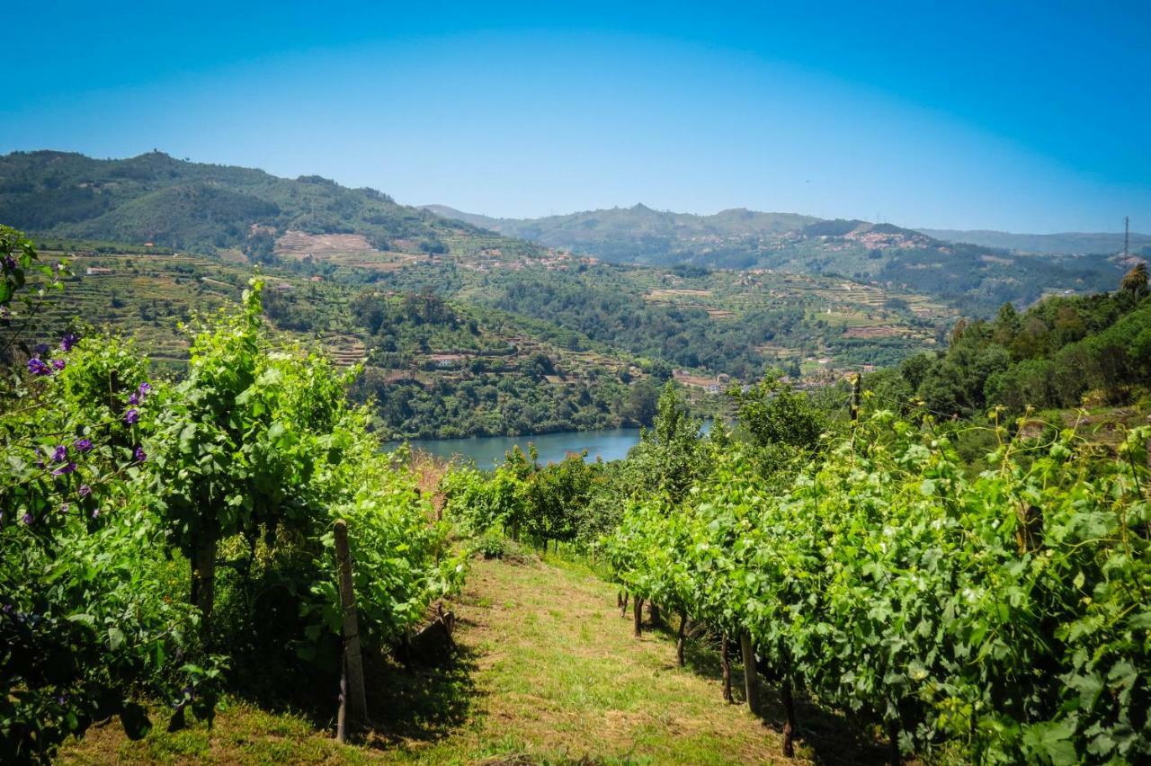 Casa Da Mouta - Douro Valley Baiao Exterior photo