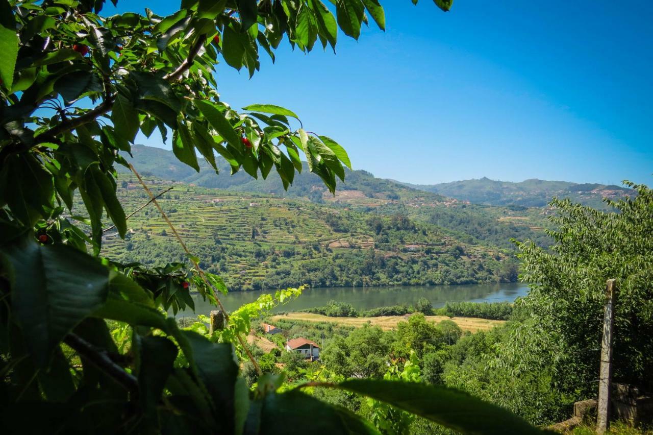 Casa Da Mouta - Douro Valley Baiao Exterior photo