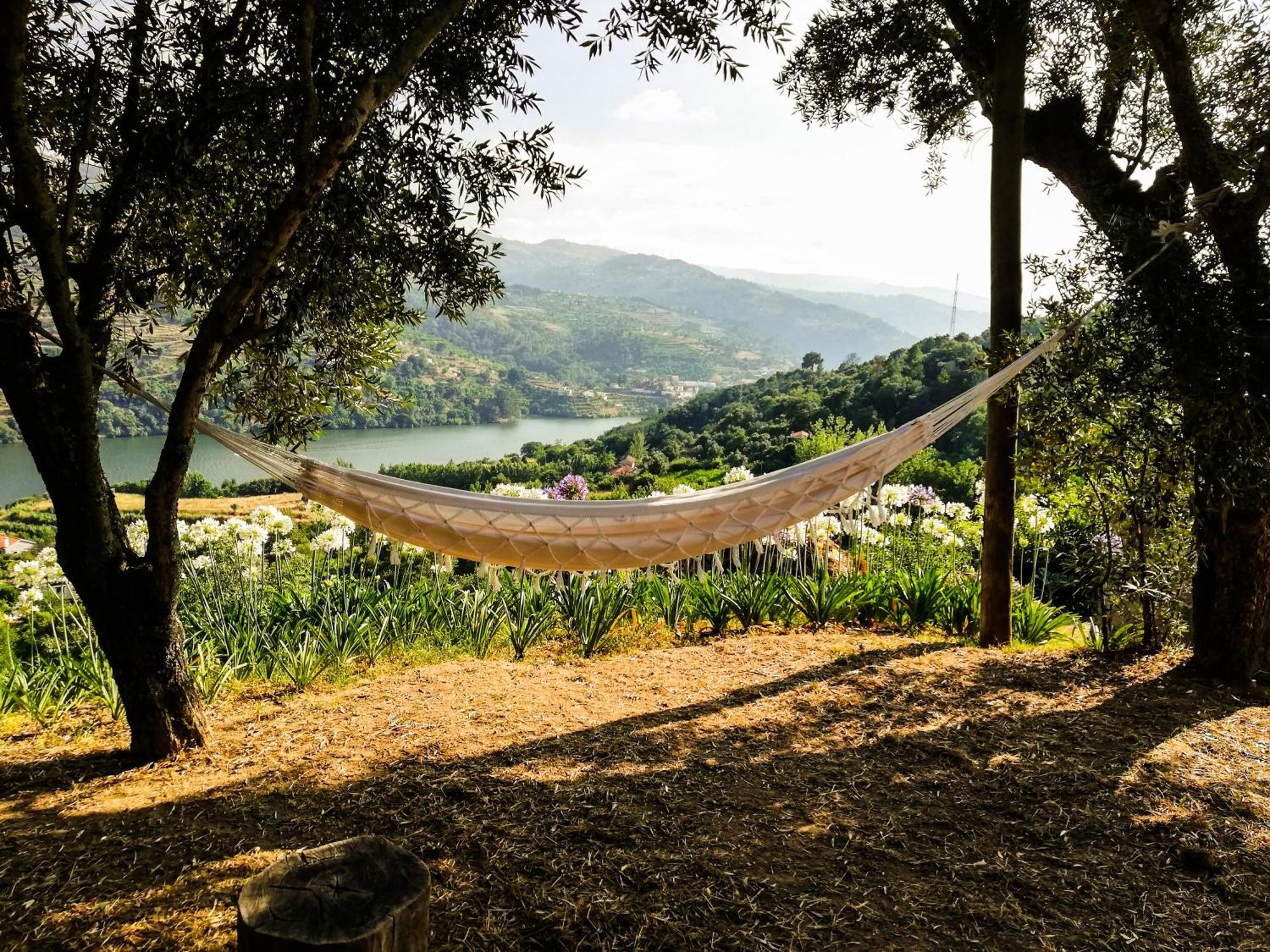 Casa Da Mouta - Douro Valley Baiao Exterior photo